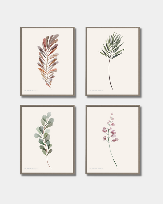 Botanical Prints