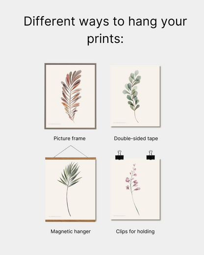 Botanical Prints